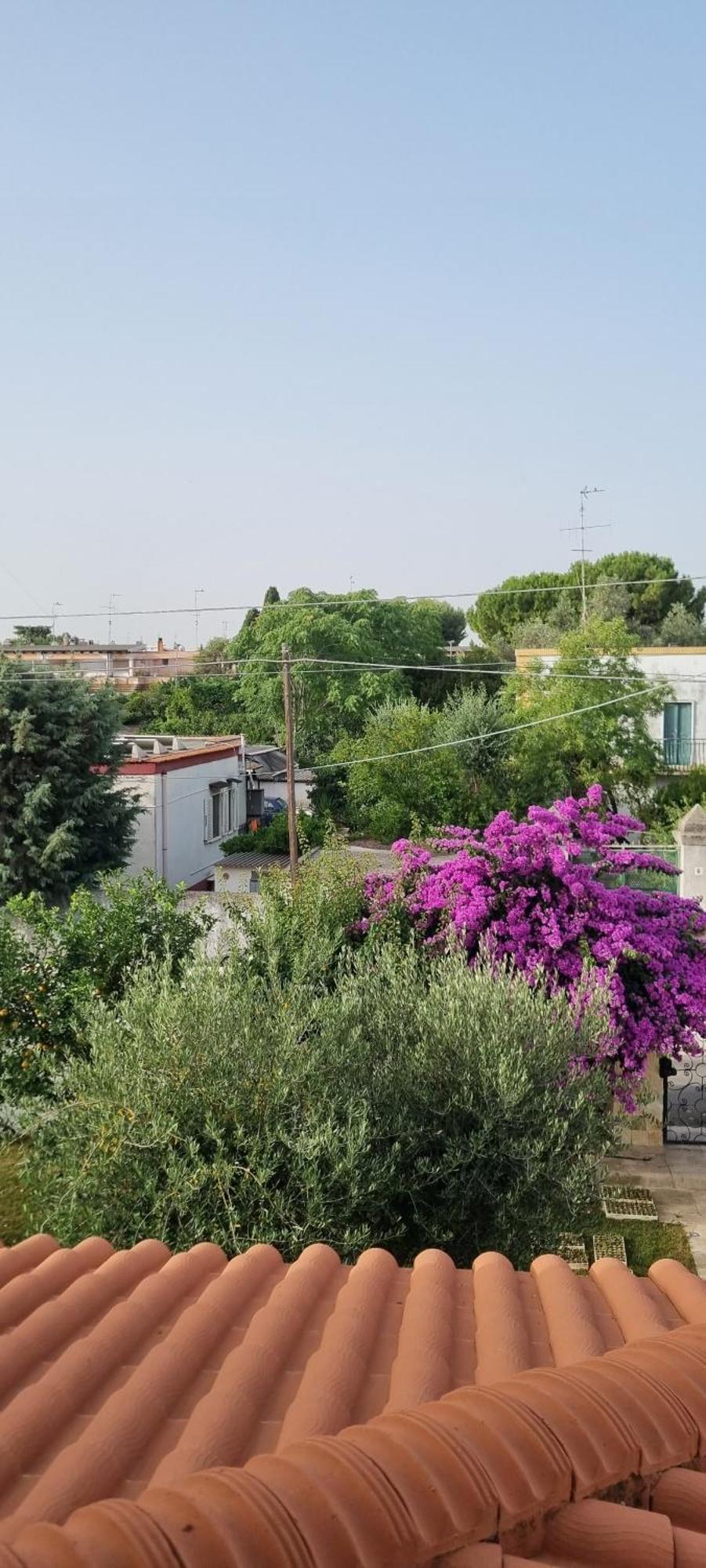 Villa Guajira Bari Dış mekan fotoğraf