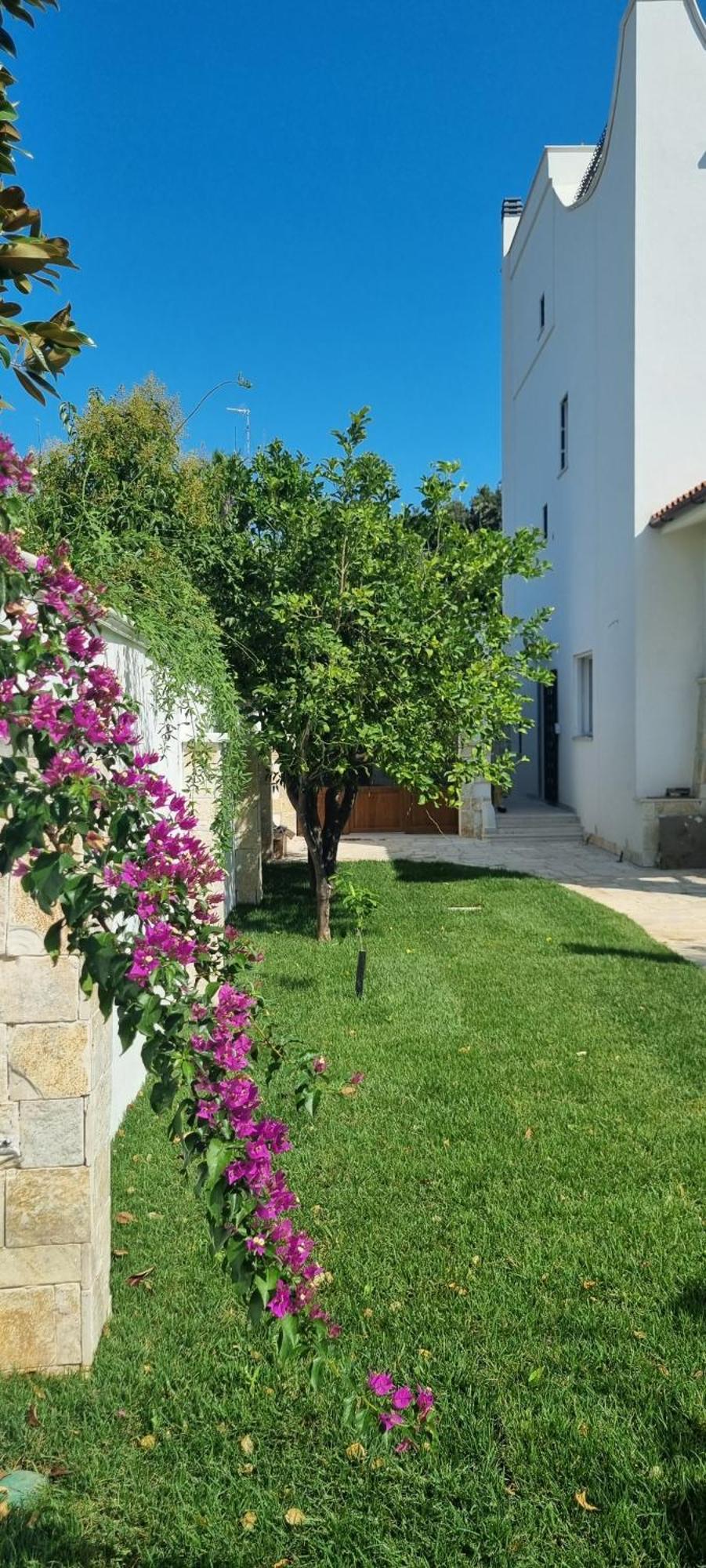 Villa Guajira Bari Dış mekan fotoğraf
