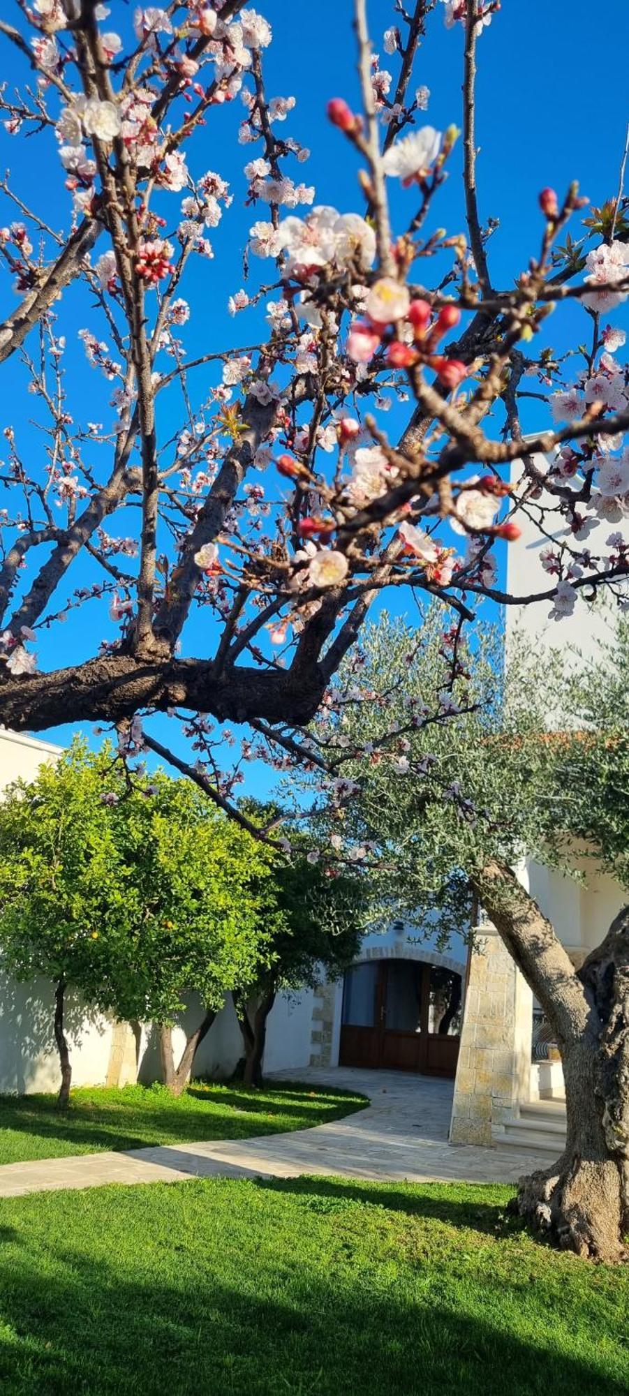 Villa Guajira Bari Dış mekan fotoğraf