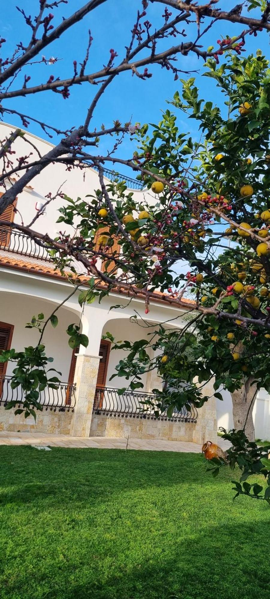 Villa Guajira Bari Dış mekan fotoğraf