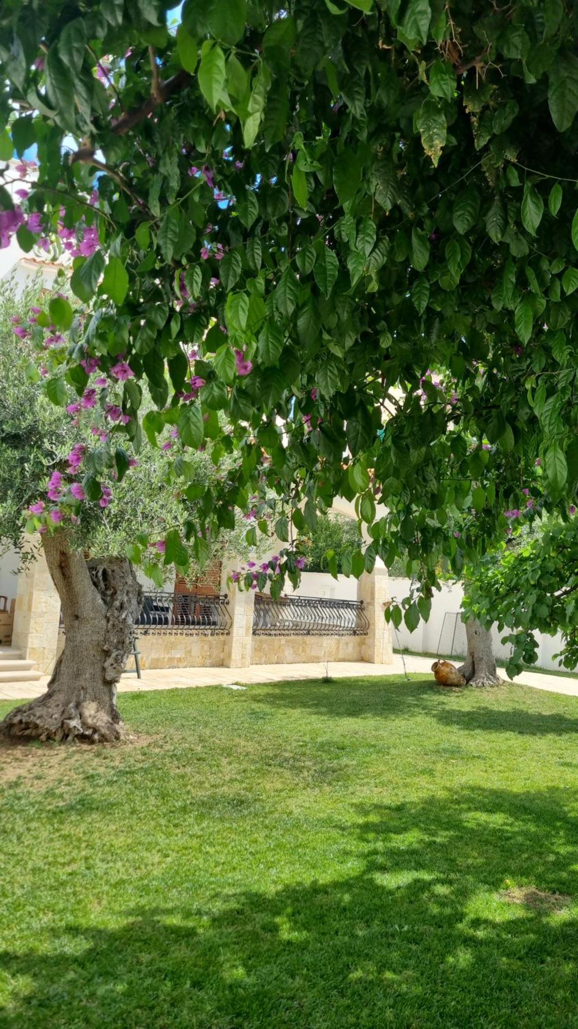 Villa Guajira Bari Dış mekan fotoğraf