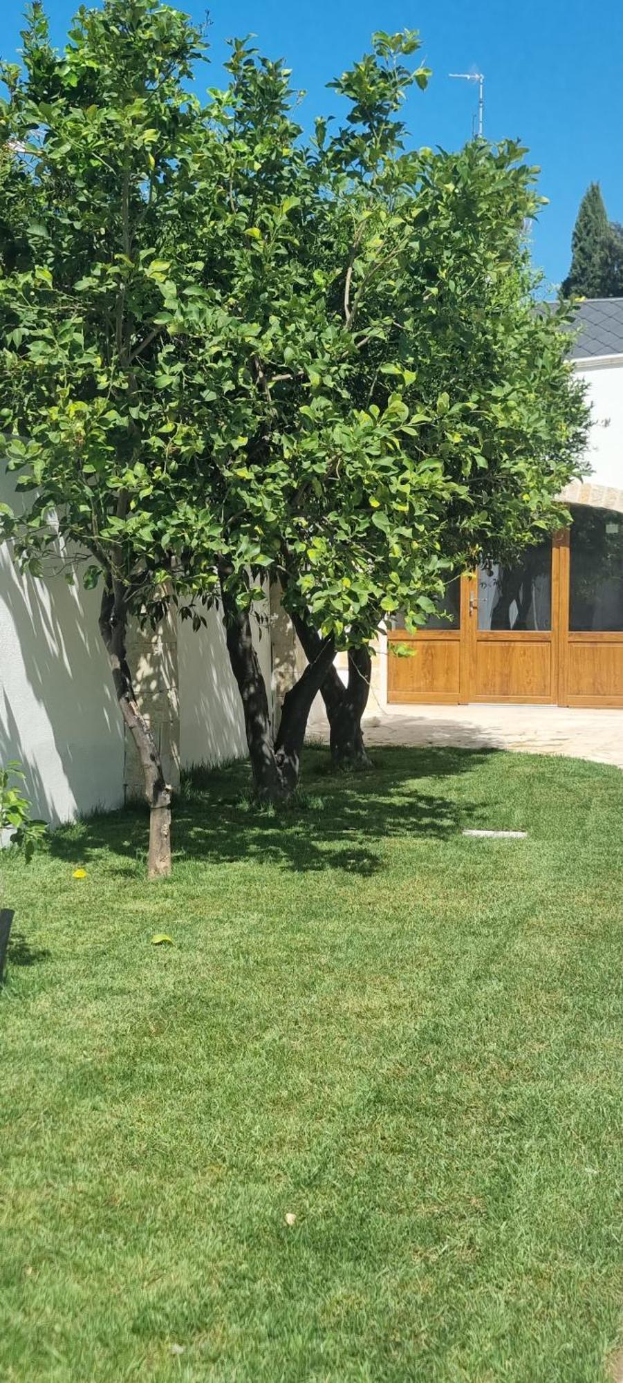 Villa Guajira Bari Dış mekan fotoğraf