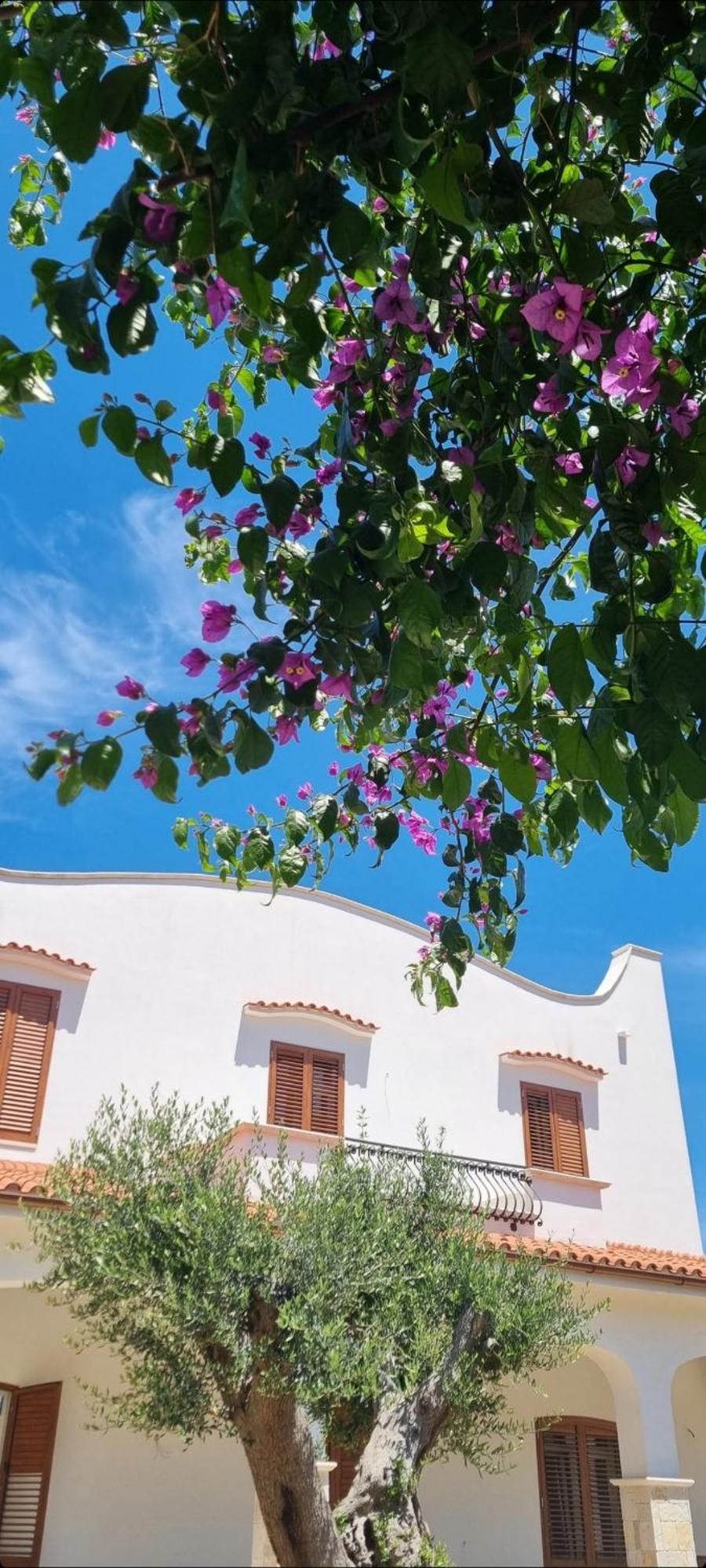 Villa Guajira Bari Dış mekan fotoğraf
