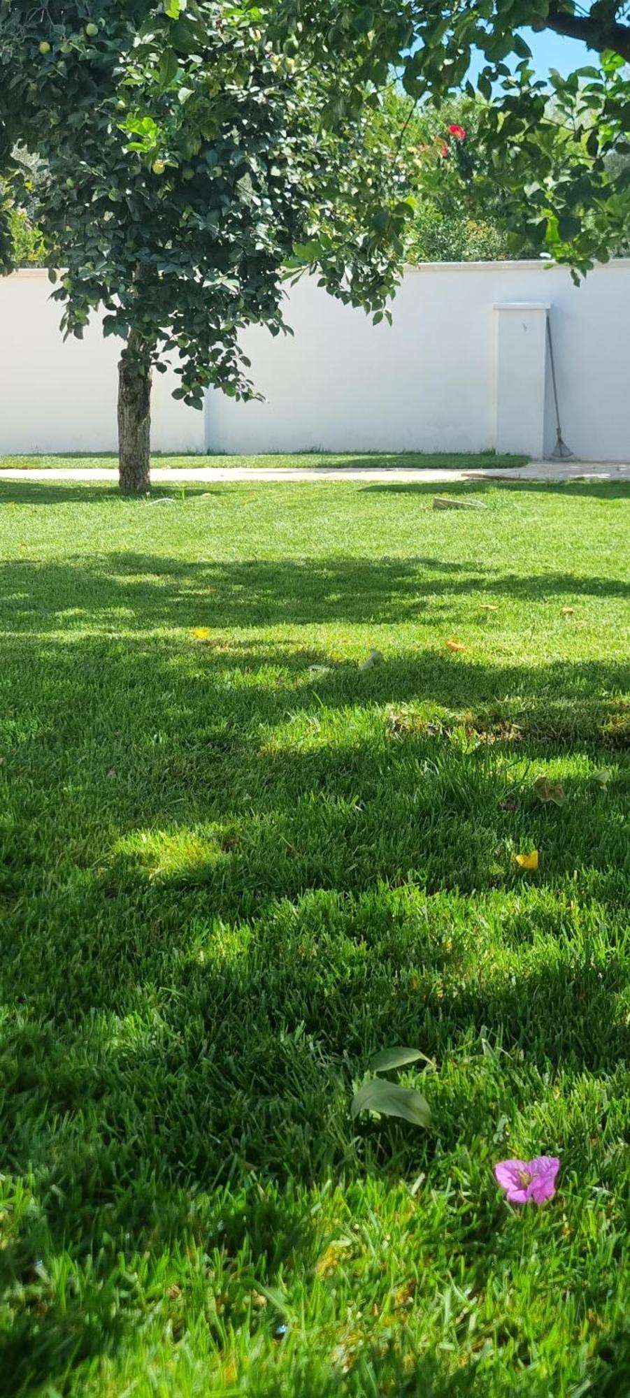 Villa Guajira Bari Dış mekan fotoğraf